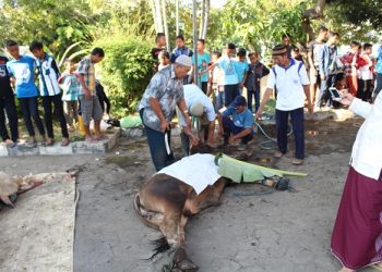 IDUL ADHA DITETAPKAN JATUH PADA SENIN, 12 SEPTEMBER